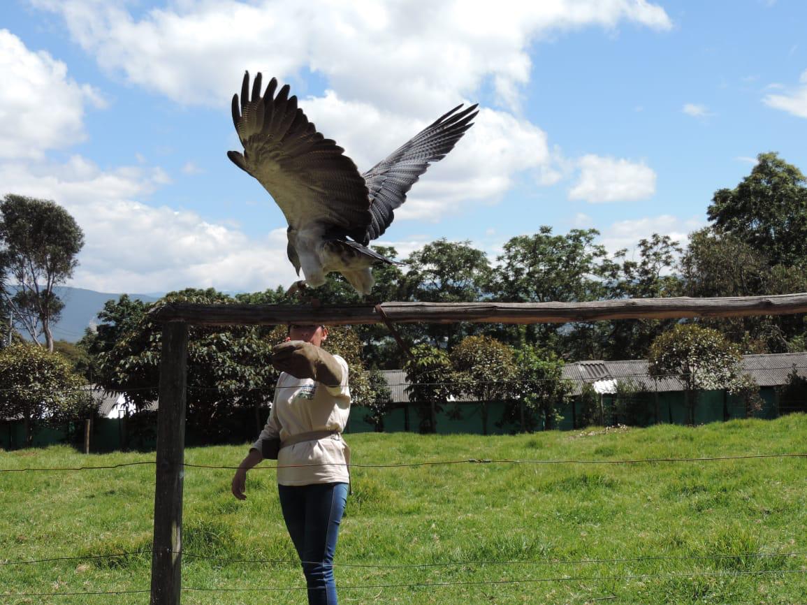 Animales en el bioparque La Reserva