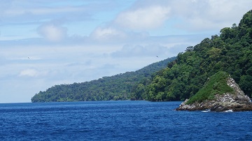 Isla de Gorgona