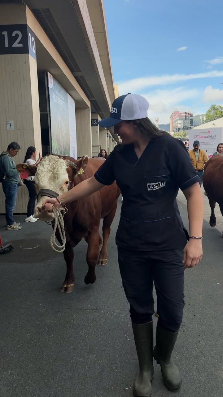 WhatsApp Image 2025 07 18 at 08.08.16