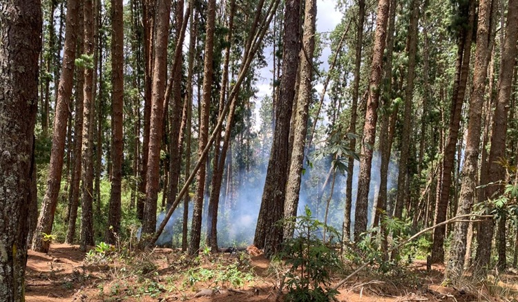 IncendioSimulacro