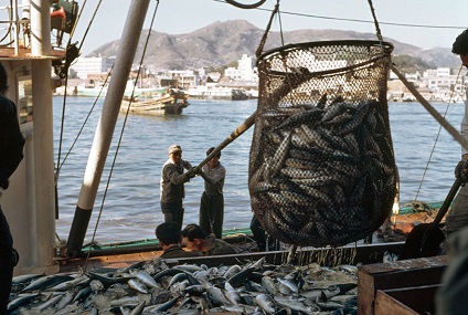 EL RECICLAJE DE LAS REDES DE PESCA ABANDONADAS